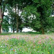 Introduction to Mindfulness. Available in Brighouse, a balance of theory, shared experience and meditations.